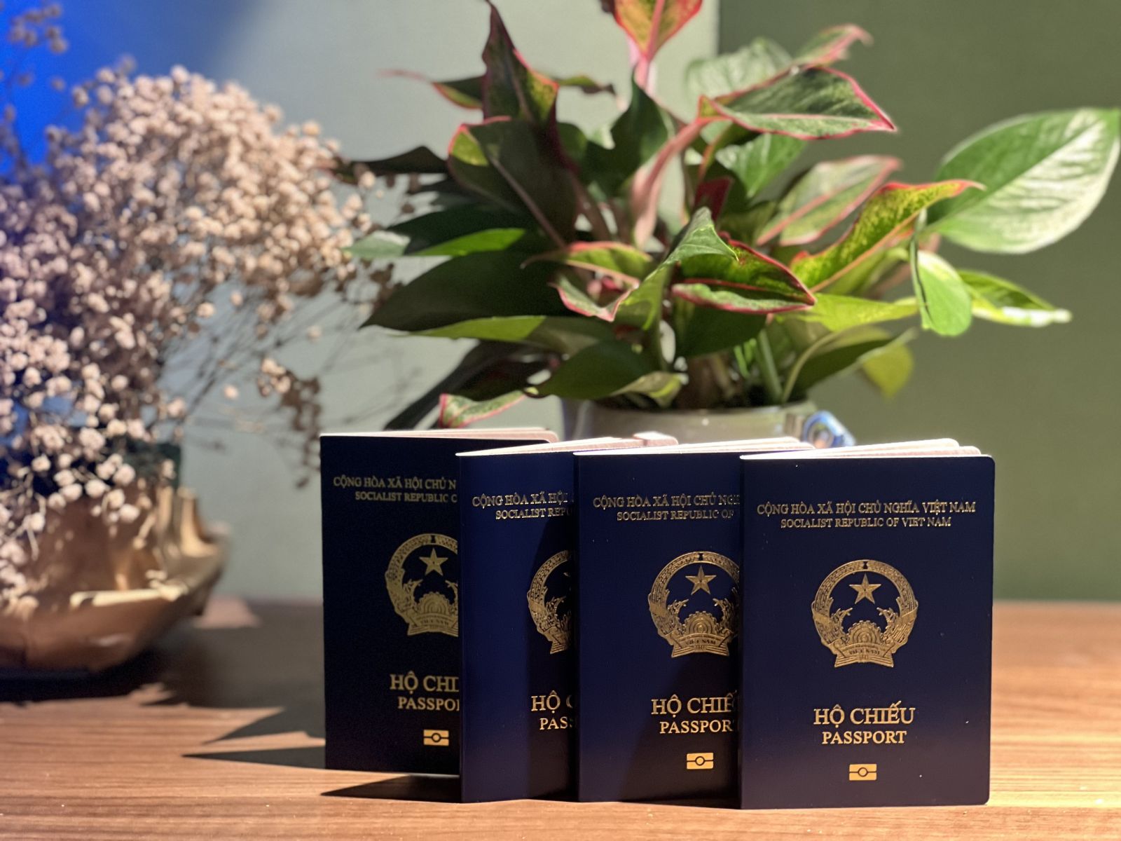 Làm passport nhanh