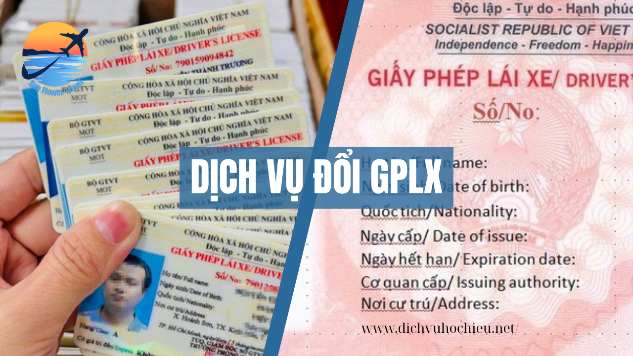 dich vu doi gplx